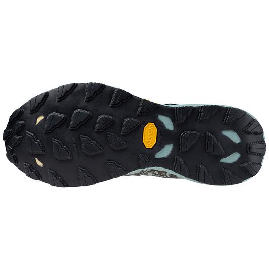 Mizuno Women's Mizuno Wave Daichi 8 AQUIFERBLACK OYSTER (AQ9H)